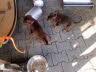 IMG-20250223-WA0028