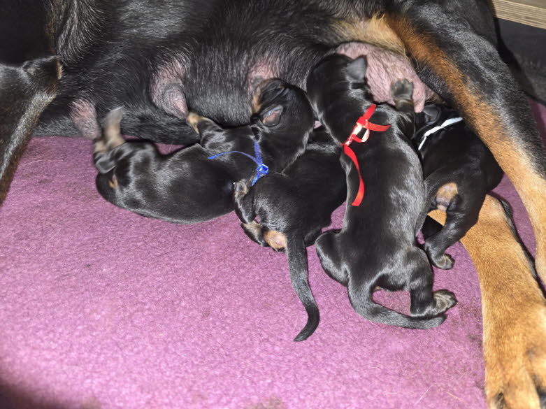 a902c88d-bc6a-4217-a3d3-121168e09446