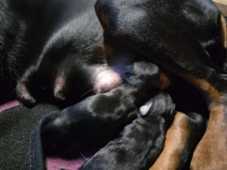 cf296350-b0e3-41fa-9d7e-48684d43b640