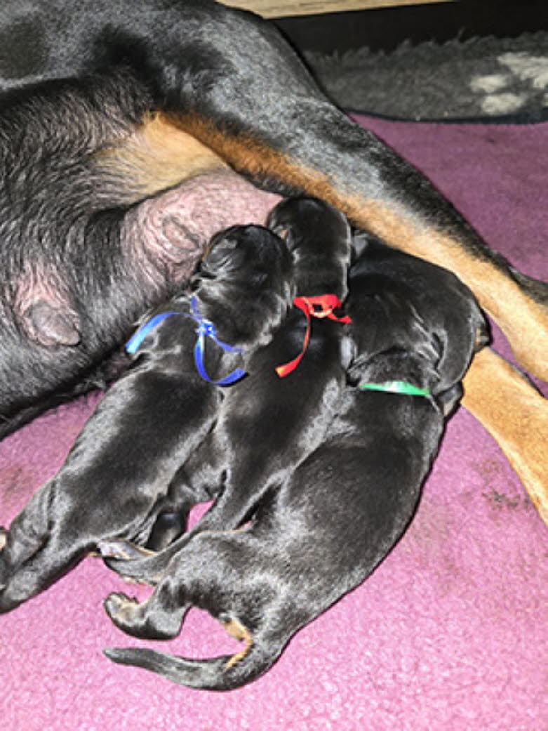 e68caf51-f317-40d4-a9a1-27d89f02c778