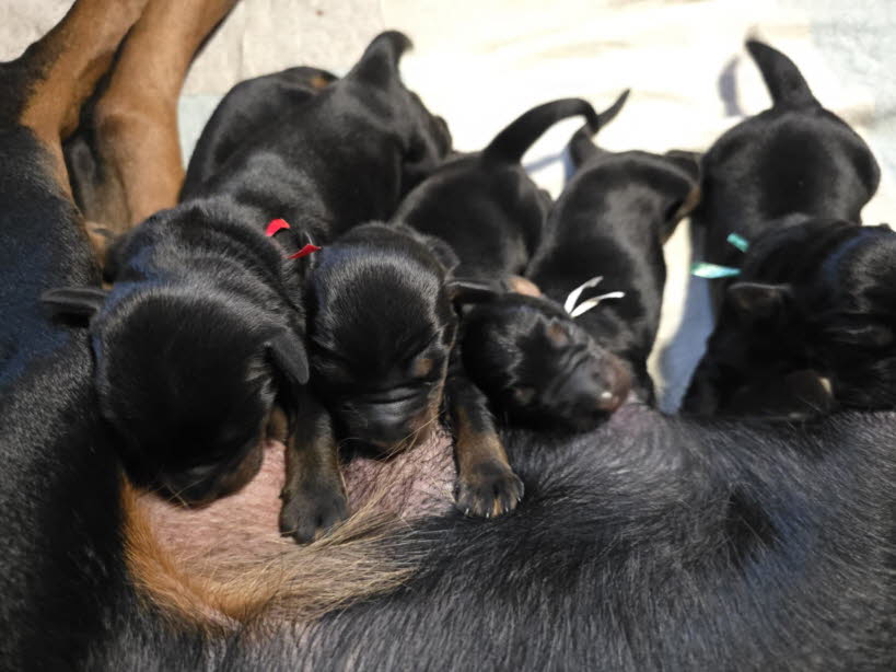 ee0cc498-9521-4bd1-886f-f23dddcee77e