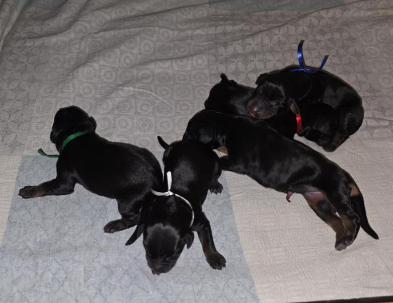 faa2a627-1de7-4bb3-bd1b-df6707a793b7