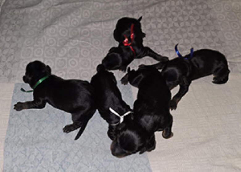 ff372cc5-19c5-40be-a00f-08f1e3798397