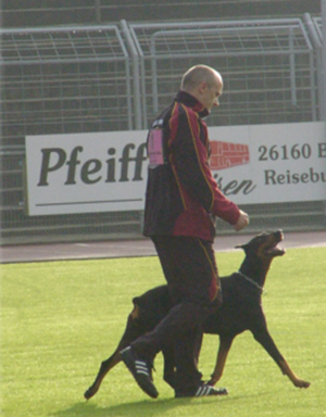haralds fotos (4)
