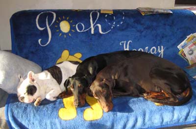 haus_januar_2011__94_