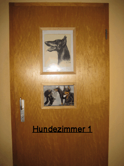 kuche__23_