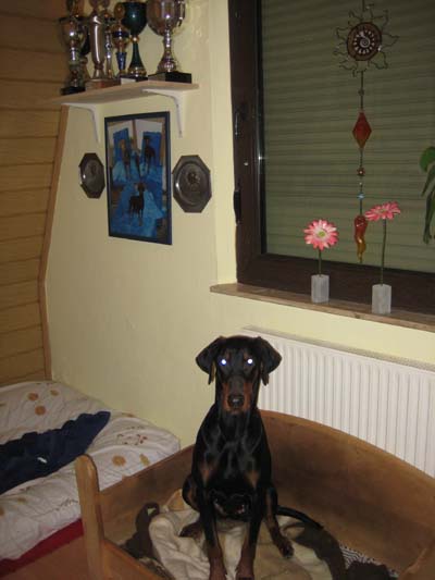 kuche__30_