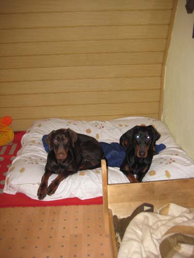 kuche__38_