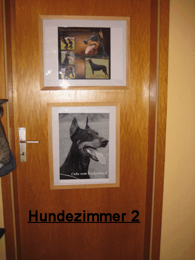 kuche__42_