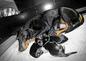 14efbe6f-57fe-4af1-8e75-aba9216aafea