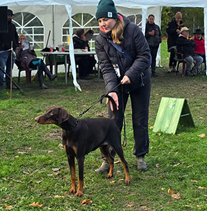 435fe9f6-77c4-4248-b512-902f3a3d04af1