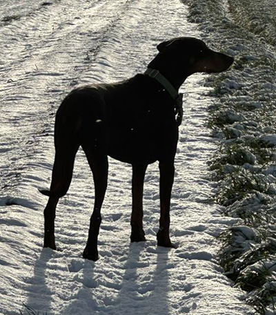 607490947_25639272059036428_7224412557400276253_n1