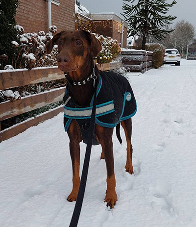 607981699_10237221656633775_7748304724151242979_n