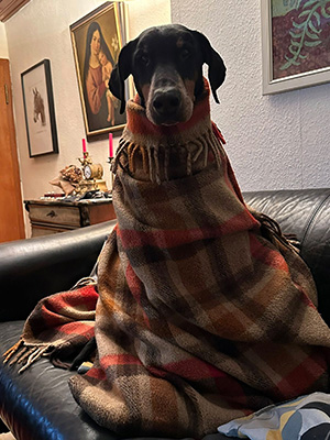 612374529_25689614367335530_1949475237409204482_n1