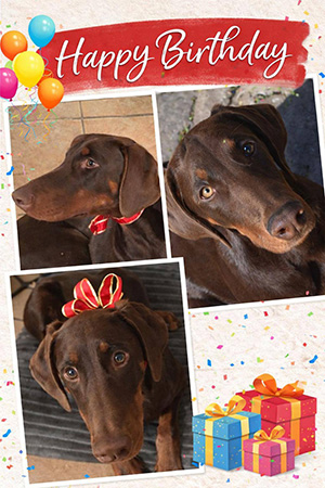 616477665_25480031531667624_3444005437410003071_n