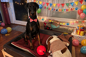 618028870_25852566067714505_6888683786869808338_n