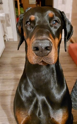 643446637_26103996975929533_6468997325657762857_n