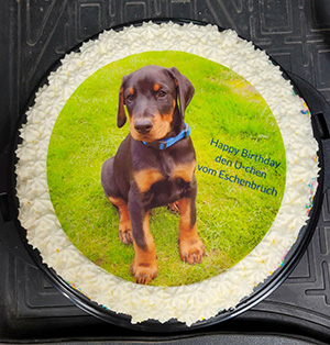 8f161299-1691-4cb3-aafa-6064ee01af9d