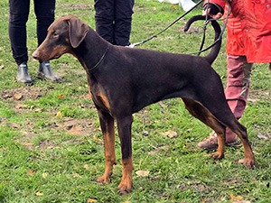 9f97287f-6c71-4684-bcb1-1012bf744b93