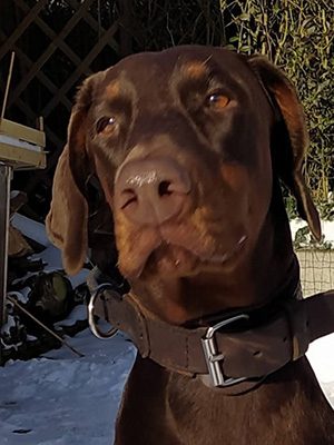 a103672f-4154-4672-a322-ac69588d4798