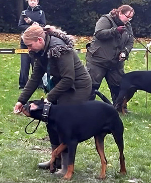 fb17b44c-022c-4cb6-b32f-45e123d6d788