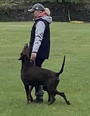 345060282_908201936927242_6451091804091417872_n1 345060282_908201936927242_6451091804091417872_n1